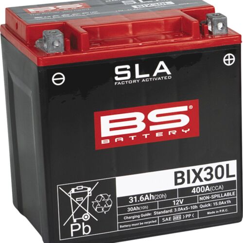 21130644 BATTERY BS BIX30L SLA