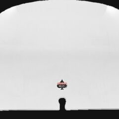 FLH - 2014+ - FLARE WINDSHIELD