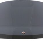 23100753 FLTR - 2015+ - FLARE WINDSHIEL