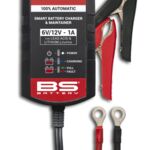 38070464 CHARGER BS10 6V/12V-1A