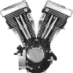 ENGINE V80 EVO LNG BLK S&S